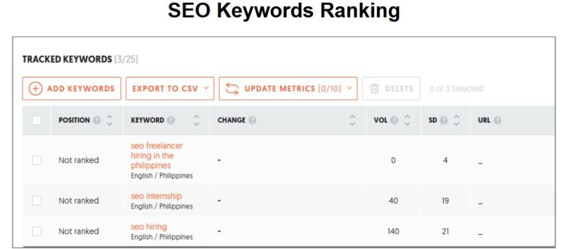 SEO Report