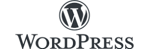 SEO WordPress